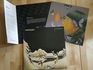 Weezer - Pinkerton - VMP blue limited vinyl LP