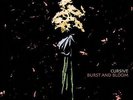 Burst & Bloom - Cursive (2012, Vinyl NEW)