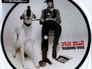 DAVID BOWIE - Diamond dogs (40th anniversary picture disc)