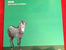 Hum - You'd Prefer An Astronaut 1st Press *GREEN* Rare, Excellent, unplayed