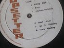 BOB MARLEY AND THE WAILERS REVOLUTIONARY LP