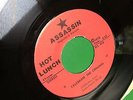 HOT LUNCH Dizzy rare punk KBD 45 Assassin 5 Records HL 515 NYC 1978 7