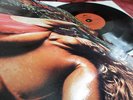 ROXY MUSIC    