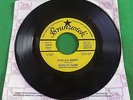 SYLVIA ST. CLAIRE JUST LOVE ME / IS HE ALRIGHT RARE NORTHERN BRUNSWICK 55279