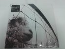 LP PEARL JAM VS ( vinile )