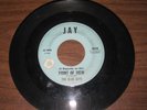 THE BLUE JAYS 45 Point Of View w/ That Feelin JAY  Orig NORTHERN SOUL