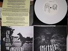 LORELLE MEETS THE OBSOLETE VS SPECTRES Record Store Dying Is Dead 7