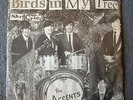 GARAGE 45 The Accents Birds In My Tree Rare Pic Sleeve Planet 82468 M- HEAR MP3