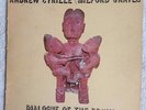 ANDREW CYRILLE & MILFORD GRAVES Dialogue of the Drums  LP percussion duo