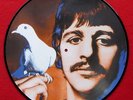 The Beatles Picture Disc Record 2 x  12