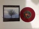 TAKE IT BACK // PINK FLOYD 1994 EMI 45 SINGLE EM309 UK--RED VINYL