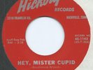 ROCKABILLY TEEN - JOE MELSON 