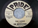 1963 GARAGE SURF INSTRUMENTALS--MOTIVATIONS--THE BIRDS / MOTIVATE--PRIDE 301, DJ