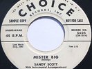 Rare Rockabilly Teener 45 - SANDY SCOTT - Mister Big - CHOICE WLP DJ COPY