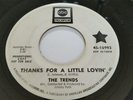 RARE Northern Soul Funk 45 Record THE TRENDS ABC PROMO Thanks For A little Lovin