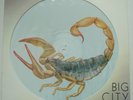 SCORPIONS Big City Nights NM HARVEST UK Picture Disc 12