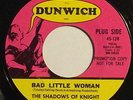 Shadows of Knight: Bad Little Woman RARE PROMO MINT- 1966 garage Dunwich