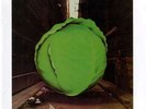 The Meters CABBAGE ALLEY Limited Edition REPRISE RECORDS New COLORED VINYL LP