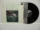?? ACHIM REICHEL AUTOVISION ORIGINAL GERMAN ZEBRA PRESS in 1974 KRAUTROCK ??