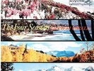 SOCIETA CORELLI / Vivaldi The Four Seasons / RCA Living Stereo SD LSC-2424 1S/1S