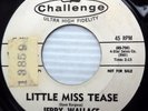 JERRY WALLACE 45 Little miss tease / Mr Lonely 1962 TEEN Rocker PROMO e7627