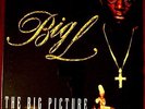 BIG L The Big Picture ORIG HIP HOP RAP LP STILL SEALED RARE