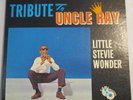 Little Stevie Wonder 
