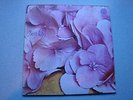 STILL LIFE - SAME MONSTER ORIGINAL UK VERTIGO SWIRL PROG PSYCH  DETAIL GRADING