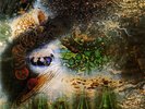 Pink Floyd - A Saucerful Of Secrets (Remastered) 180g Vinyl LP New & Sealed