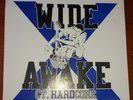 WIDE AWAKE CT. HARDCORE Straight Edge Vinyl Judge Bold Schism Gorilla Biscuits