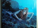 ROXY MUSIC SIREN BEAUTIFUL ORIGINAL 1975 ATCO LP SHRINK ROXY CLASSIC=