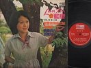 Singapore Lan Yin ?? ?? Vol.12 Chinese Great Union Label 12