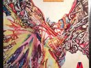 Pescado Rabioso Desatormentandonos Vinyl LP Original Pressing Psych Proto Metal