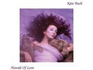 KATE BUSH Hounds of Love SEALED 180 gram LP Audio Fidelity