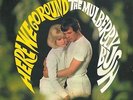 THE SPENCER DAVIS GROUP / TRAFFIC Here We Go Round The Mulberry Bush Vinyl LP