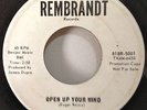 Nuchez's 1966 Open Up Your Mind Rembrandt 5001 Rare Promo Garage Psych LSD 25 EX
