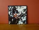 Pink Floyd, Obscured by Clouds, United States, by Harvest, Free Shipping