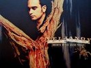 VELJANOV Secrets of the silver tongue - LP - Limited Vinyl (Deine Lakaien)