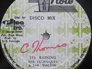 The Techniques Jah Walton ?QUEEN MAJESTY / IT'S RAINING Disco Mix 12