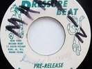 The Reggae Boys REGGAE TRAIN / Sir Lord Comic DR. FEELGOOD Pre Release 45