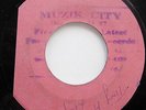 THE HEPTONES Equal Rights Blank 45 + RAPHAEL STEWART What a Hard Time 45 RARE