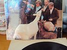 THE BEACH BOYS 