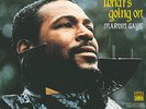 Marvin Gaye - WHAT'S GOING ON(VINYL/180GR/DC)