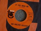 GARAGE ROCK 45 Sir Walter Raleigh If You Need Me Tower 156 EX HEAR MP3