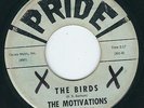 KILLER CA Surf rocker instros The Motivations PRIDE 301 The Birds / Motivate ?