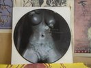 MILK & SUGAR, HIGHER & HIGHER - GERMAN PICTURE DISC MSR 032P NUDE