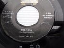 SAMMY SALVO 1959 Teen bopper 45 WOLF BOY MY PERFECT LOVE on RCA Victor w6352