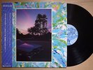 CECILIO S/T JAPAN PROMO LP W/OBI HAWAII MODERN SOUL AOR LISTEN