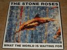 THE STONE ROSES what the world is waiting for*fools gold 1989 SILVERTONE 12