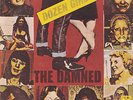 DAMNED Dozen Girls 7